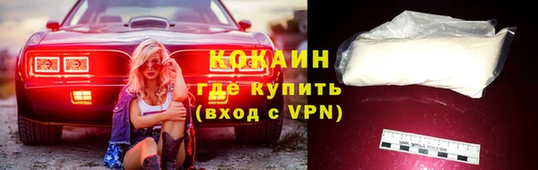 крисы Белокуриха