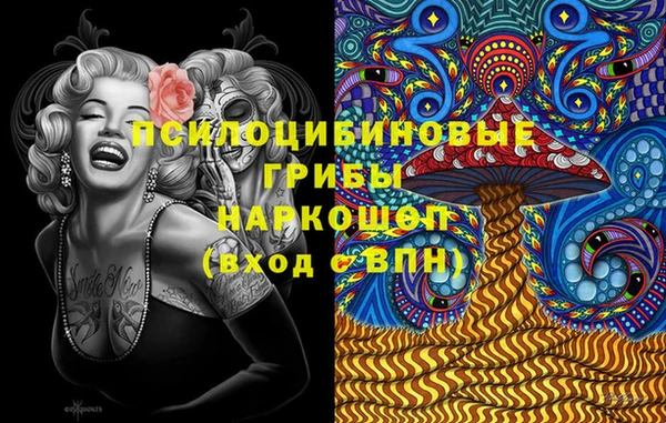 крисы Белокуриха